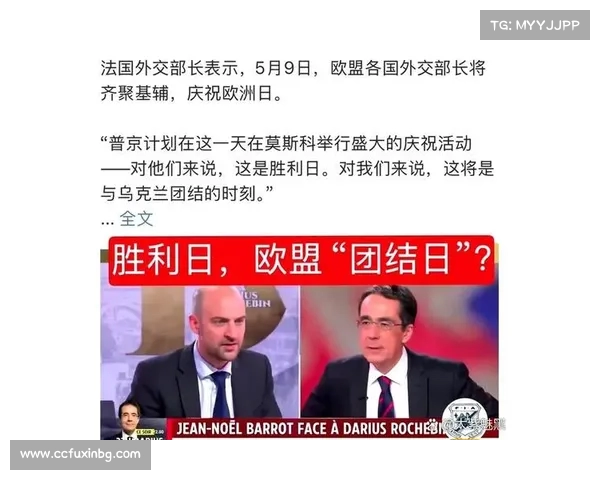 历届德甲冠军回顾与分析，探寻德国足球霸主的历史轨迹与未来走势
